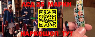 гидропоника Донской