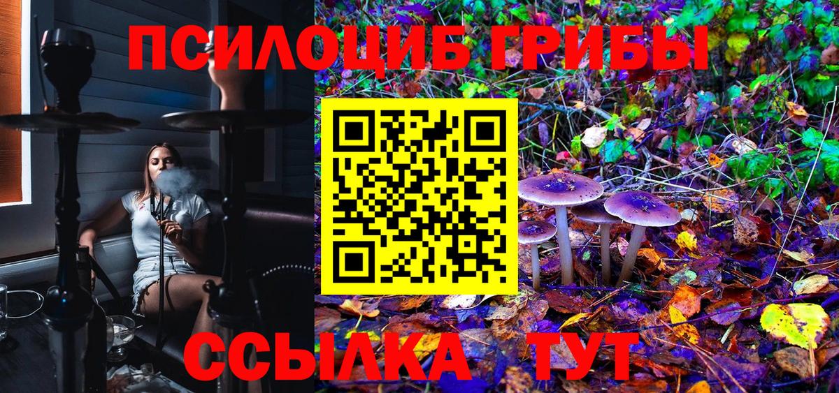 магазин продажи   Псилоцибиновые грибы MAGIC MUSHROOMS  Галлюциногенные грибы Magic Shrooms  Вход с VPN  Кулебаки 