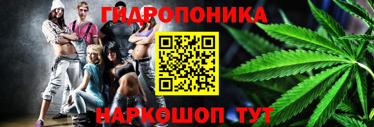 Каннабис план Кулебаки